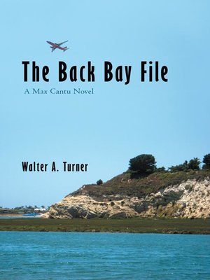 cover image of The Back Bay File